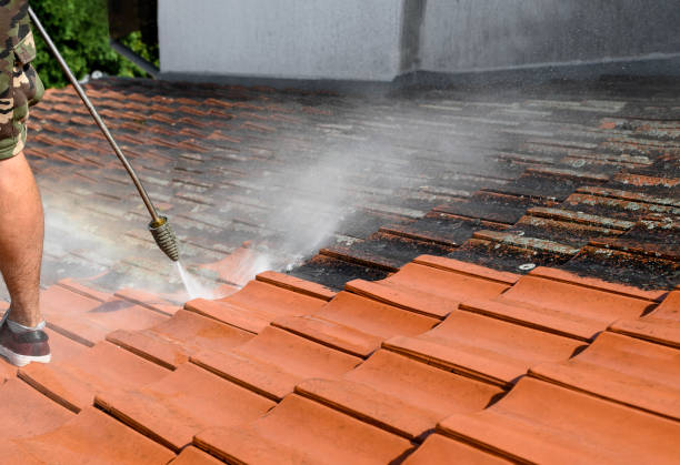 Trusted Riverview Park, PA Pressure Washing Experts
